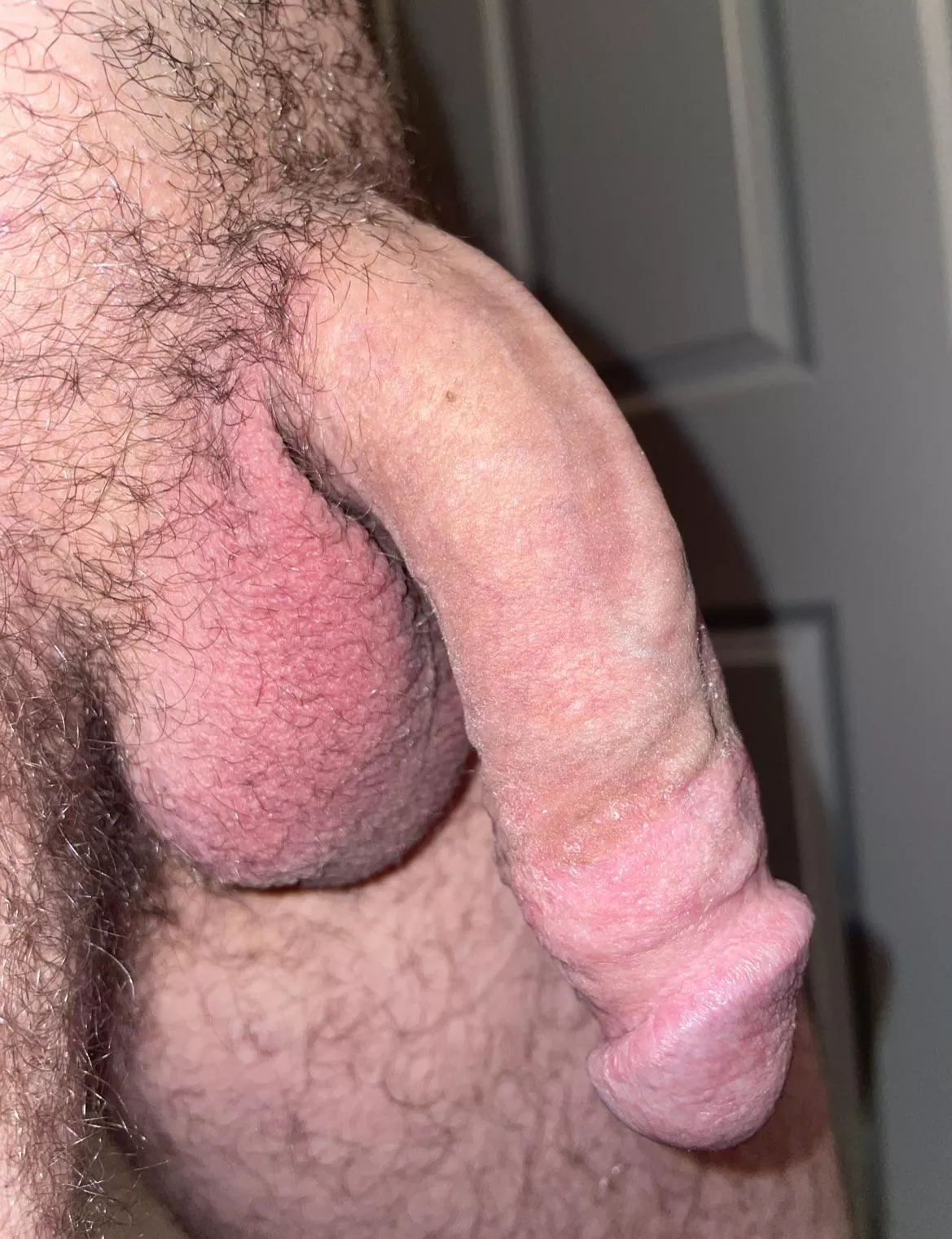 Big floppy white cock