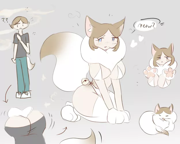 (Cat Condo) ragdoll cat tf uwu (oc)