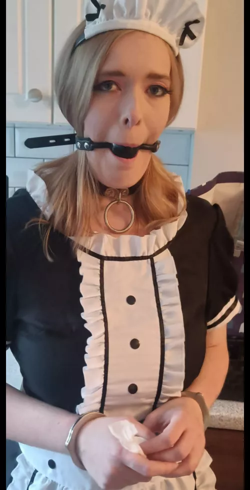 Collared and ready to serve