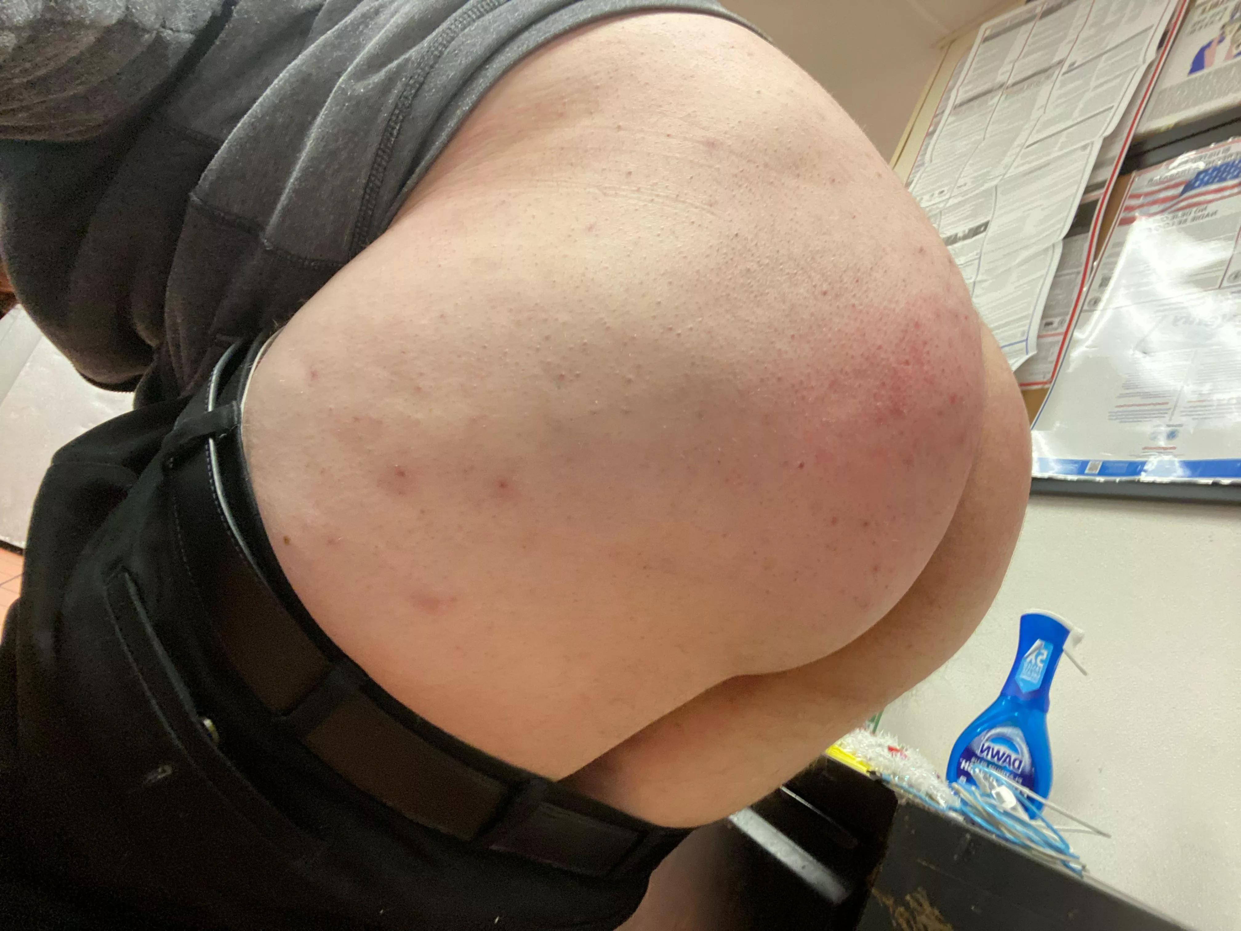 Fat chub ass at work