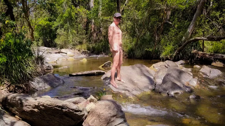 Finding relief from the humidity in a Queensland rainforest. 🌞