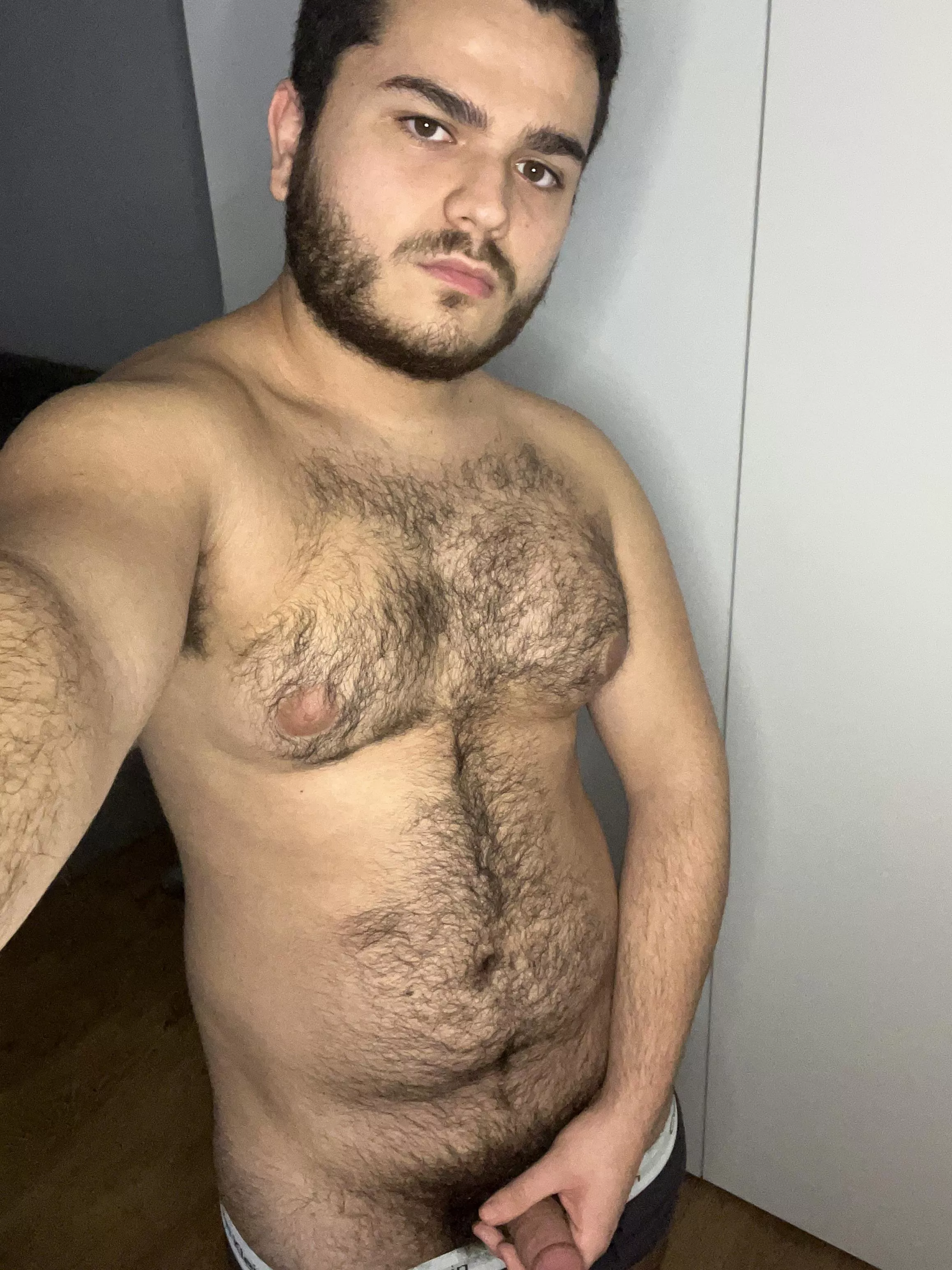 hairy chub