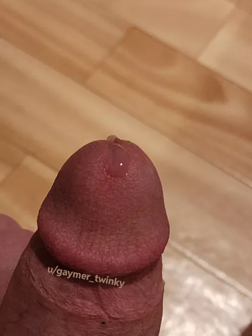 I barely sat on my toy and all this precum came out