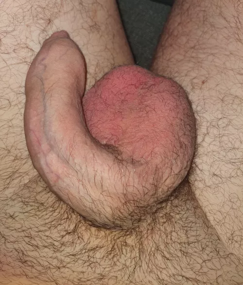 Morning softie, who wants to turn it into Morning wood