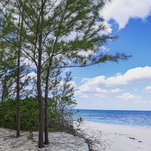 Munjack Cay, Bahamas...picture perfect day