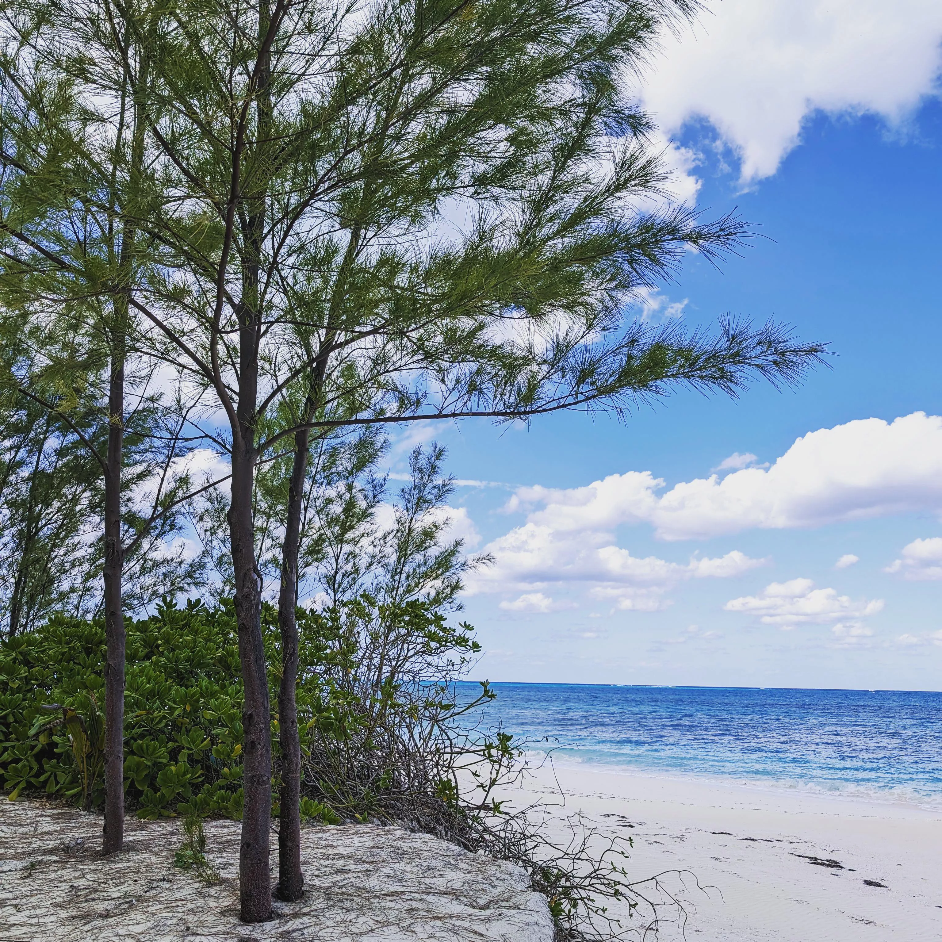Munjack Cay, Bahamas...picture perfect day