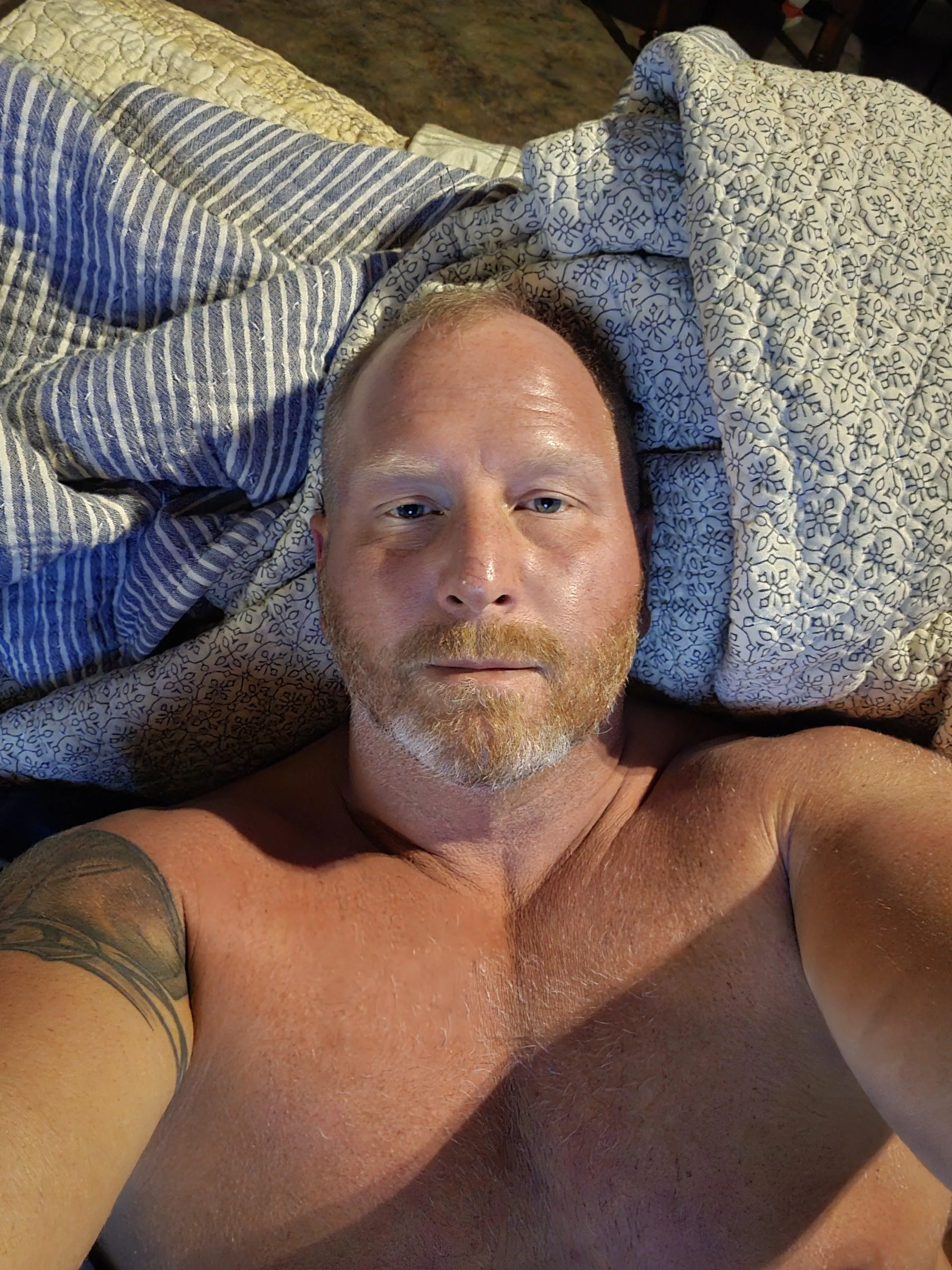 Sunday night cuddles? [50]