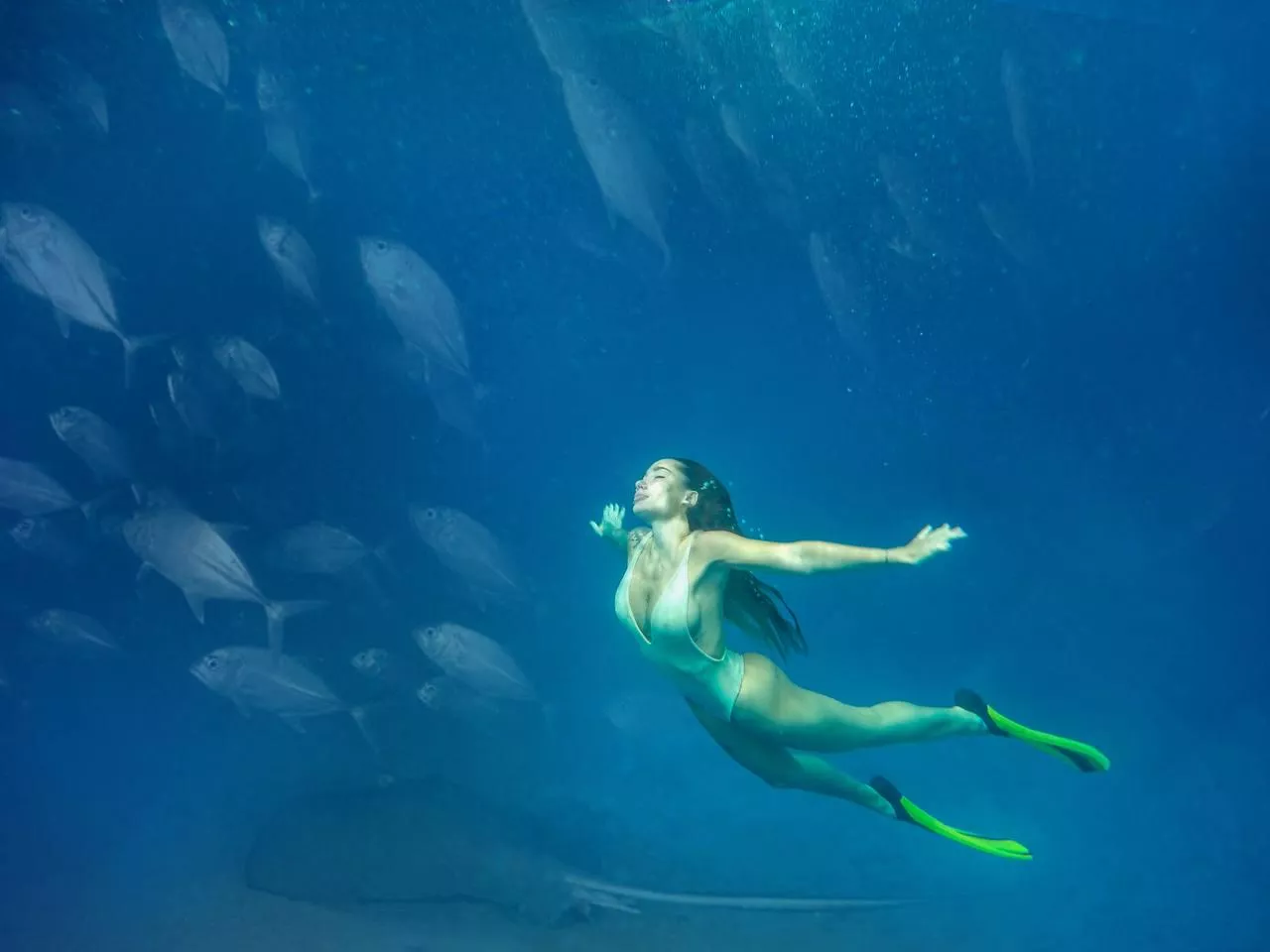 Swam with the fish today