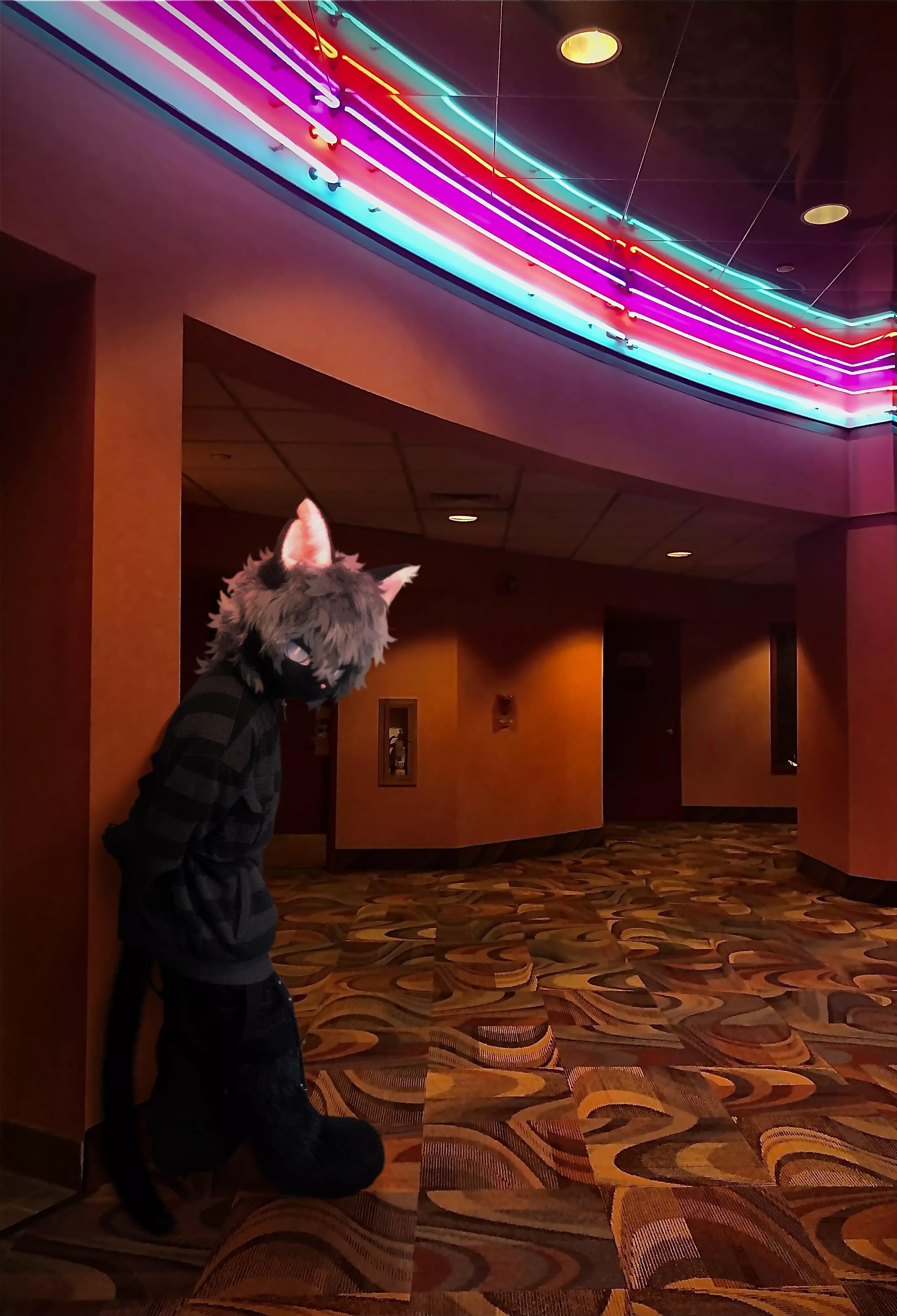 They said no pets allowed in the theatre, does that count for catboys?