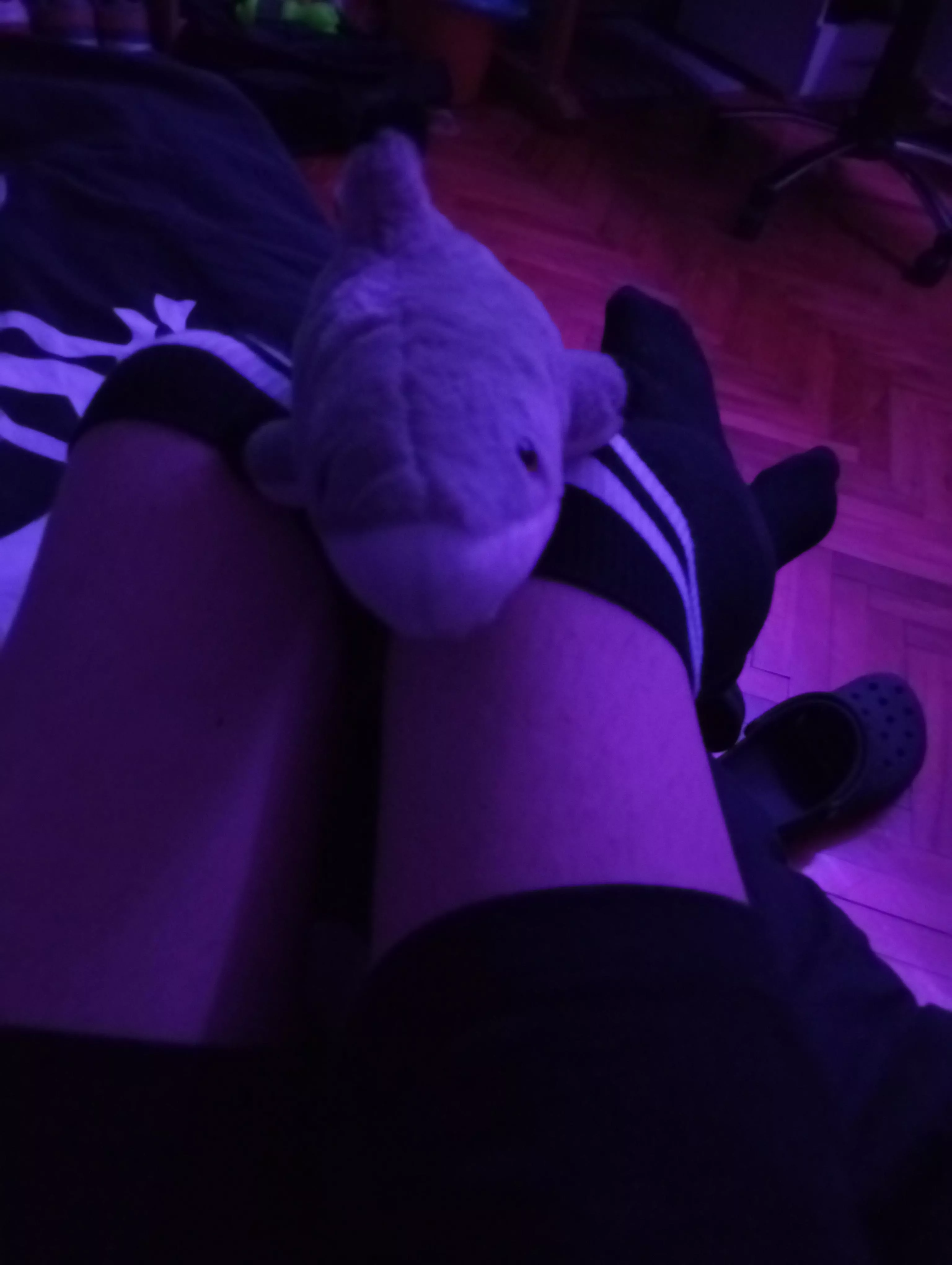 Tiny shirk :3 (ft. my crocs)