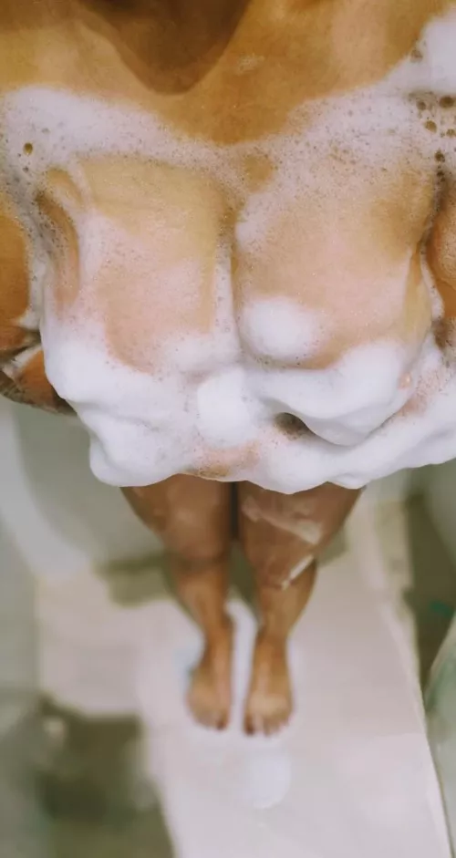 Who likes a soapy shower sesh? 