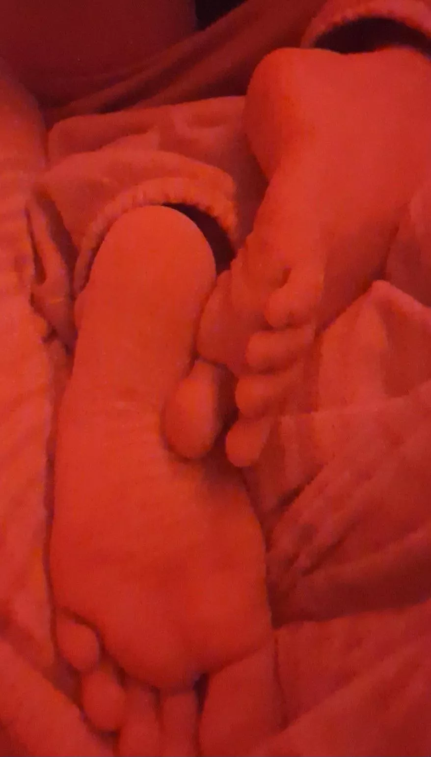 who would lick it? 🤤