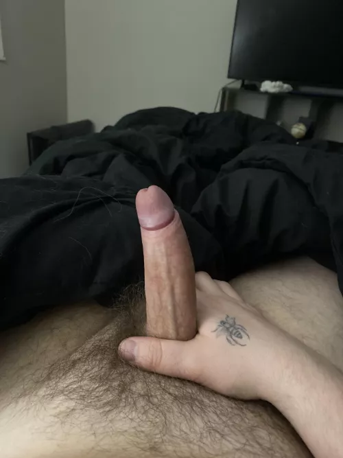 A little light on pubes but still furry. 