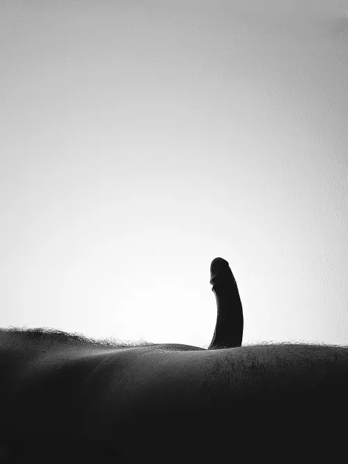 and what to even write here.