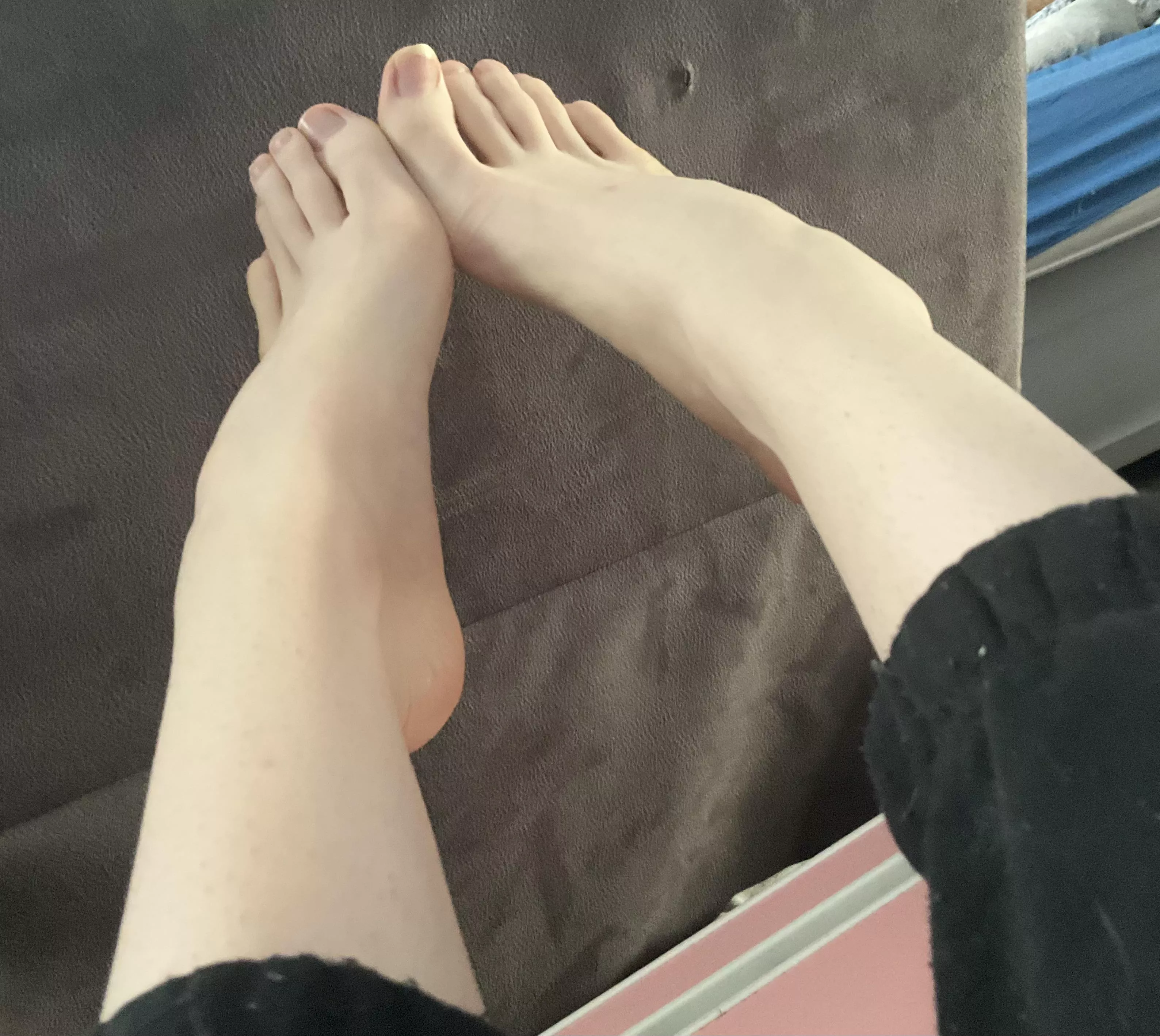 Bet you wish they were on your lap 💋