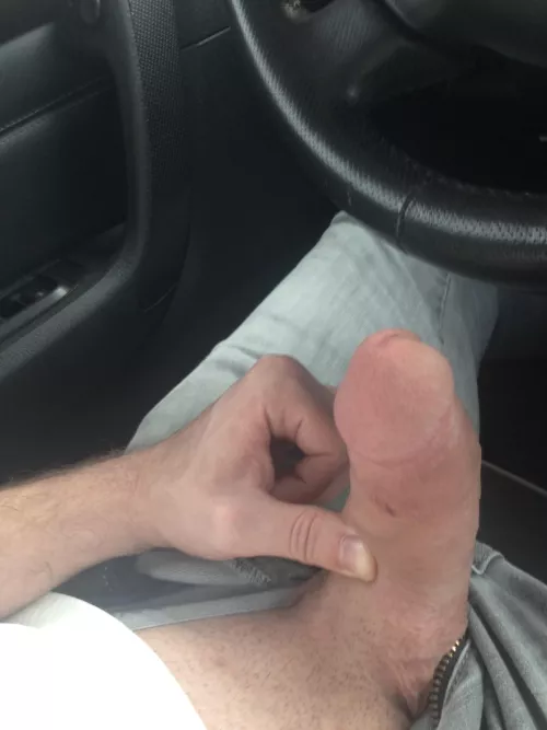 Bro, help me drive, grab this stick 😏