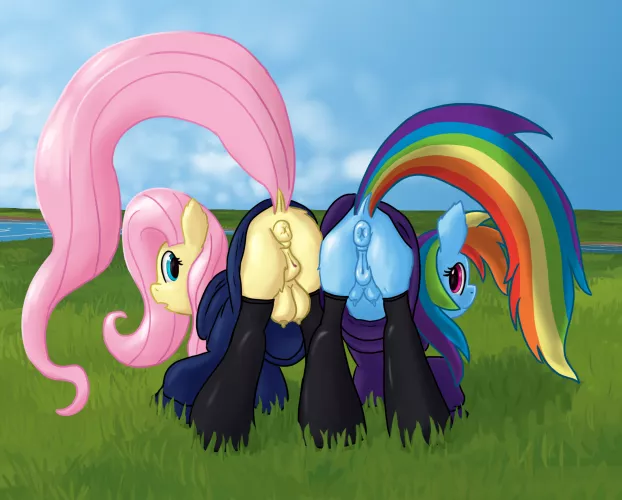 Fluttershy and Rainbow Dash showing off for you~ [Callichrome]