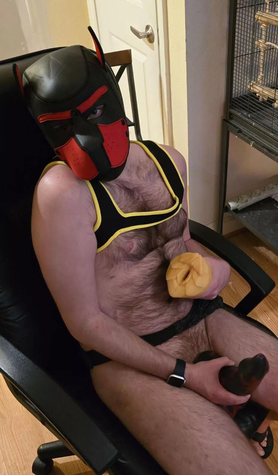 Good pup, with some bad dragon