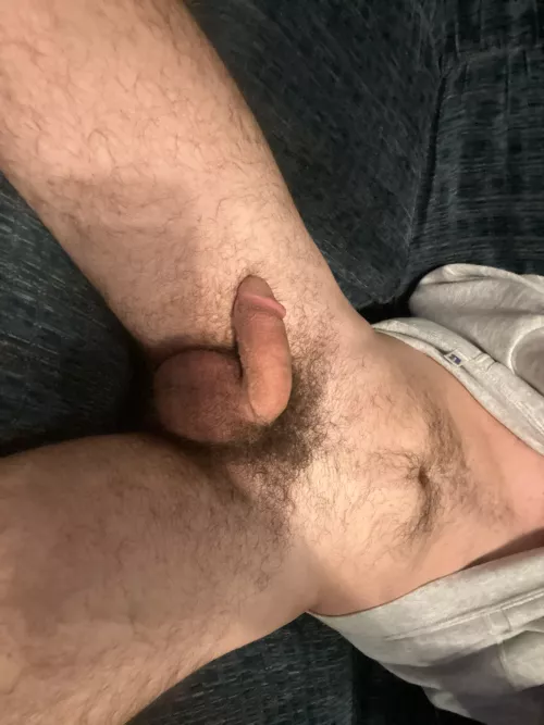 growing the bush back out