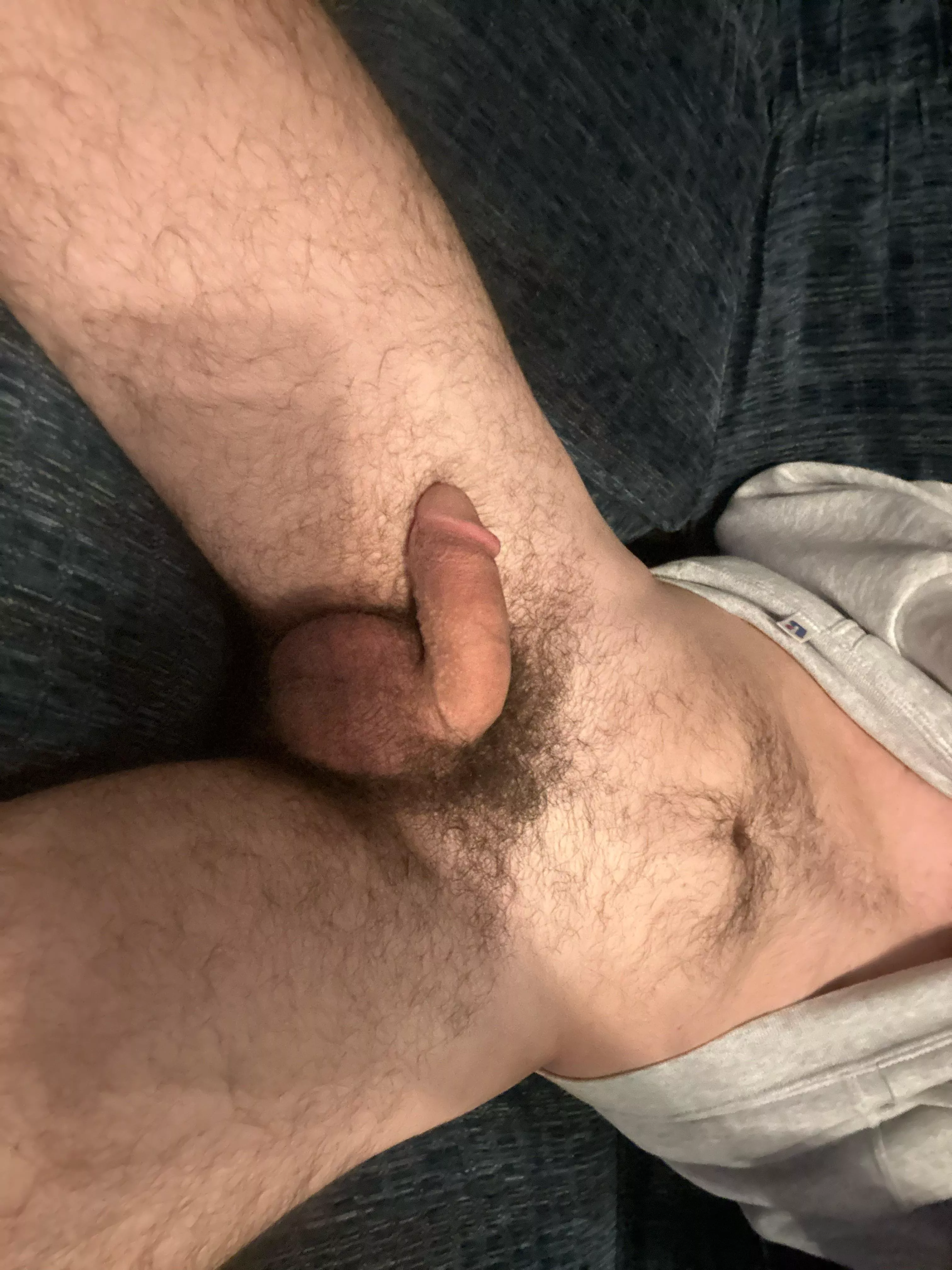 growing the bush back out