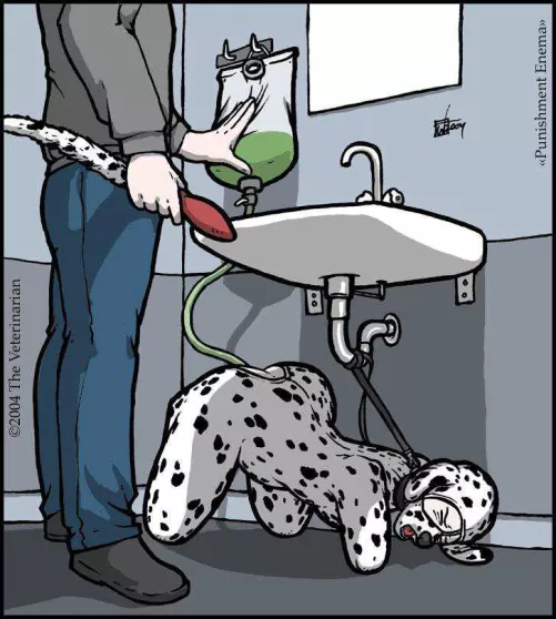 Help my pet to be cleaned 