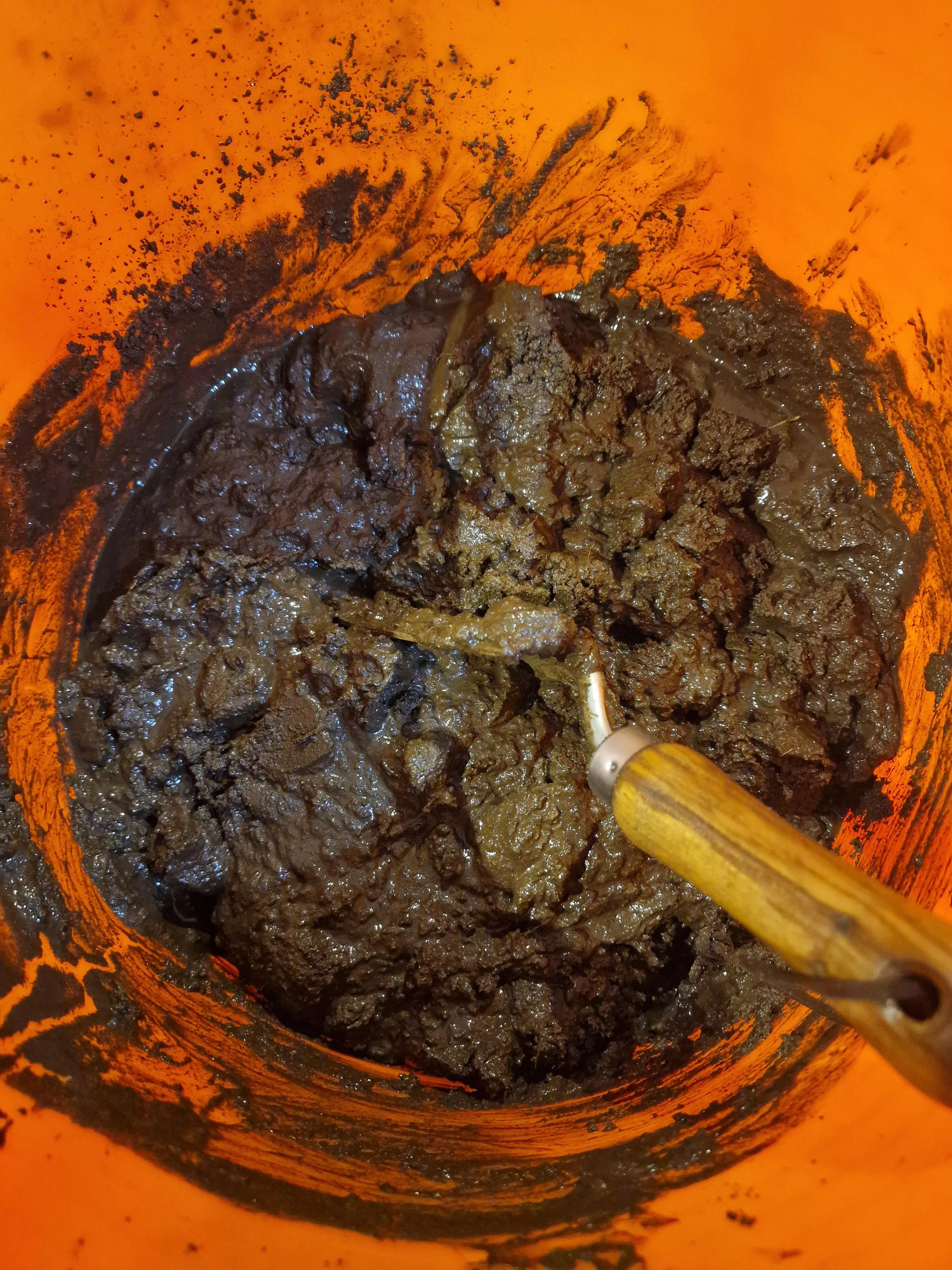 Mud down my Shorts - 23F