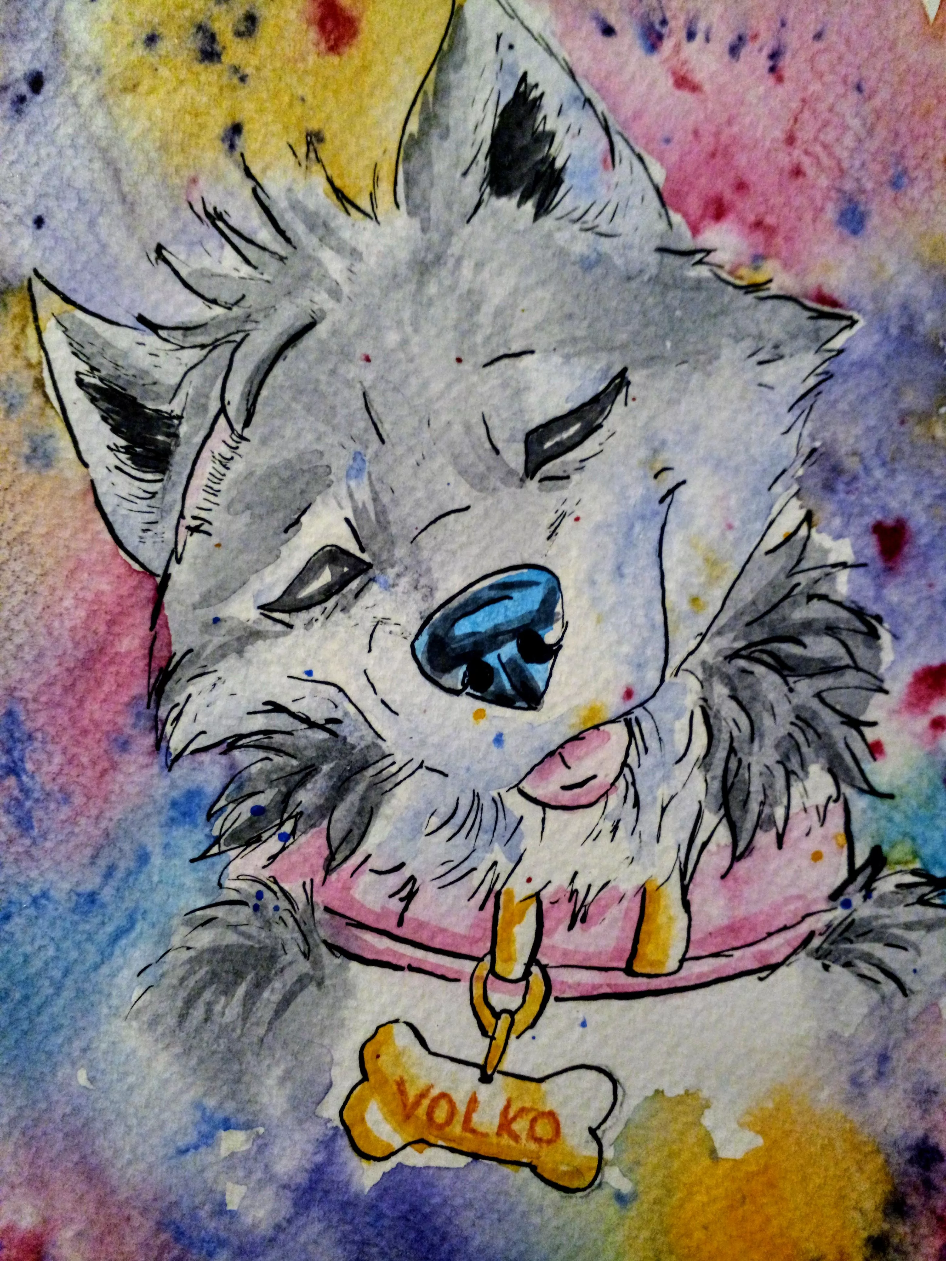Pleb :3 (watercolor painting by me)