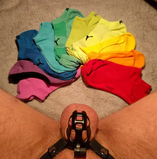 Sock-rainbow! On which socks should I cum next? Tell me which color should be sprayed with my pent up cum. Should I be wearing them while cumming on them?