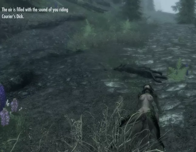 The Courier was never seen again....