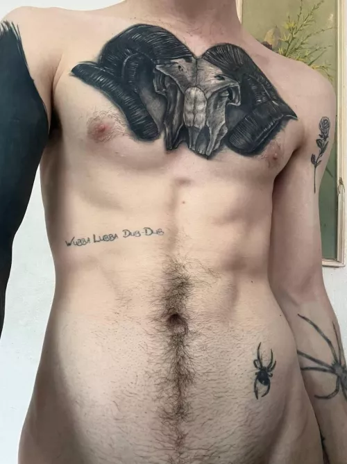 Thinking of adding to the ribs 