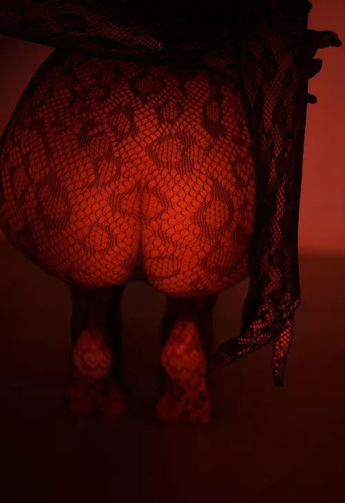 This wild cat will show you what passion is