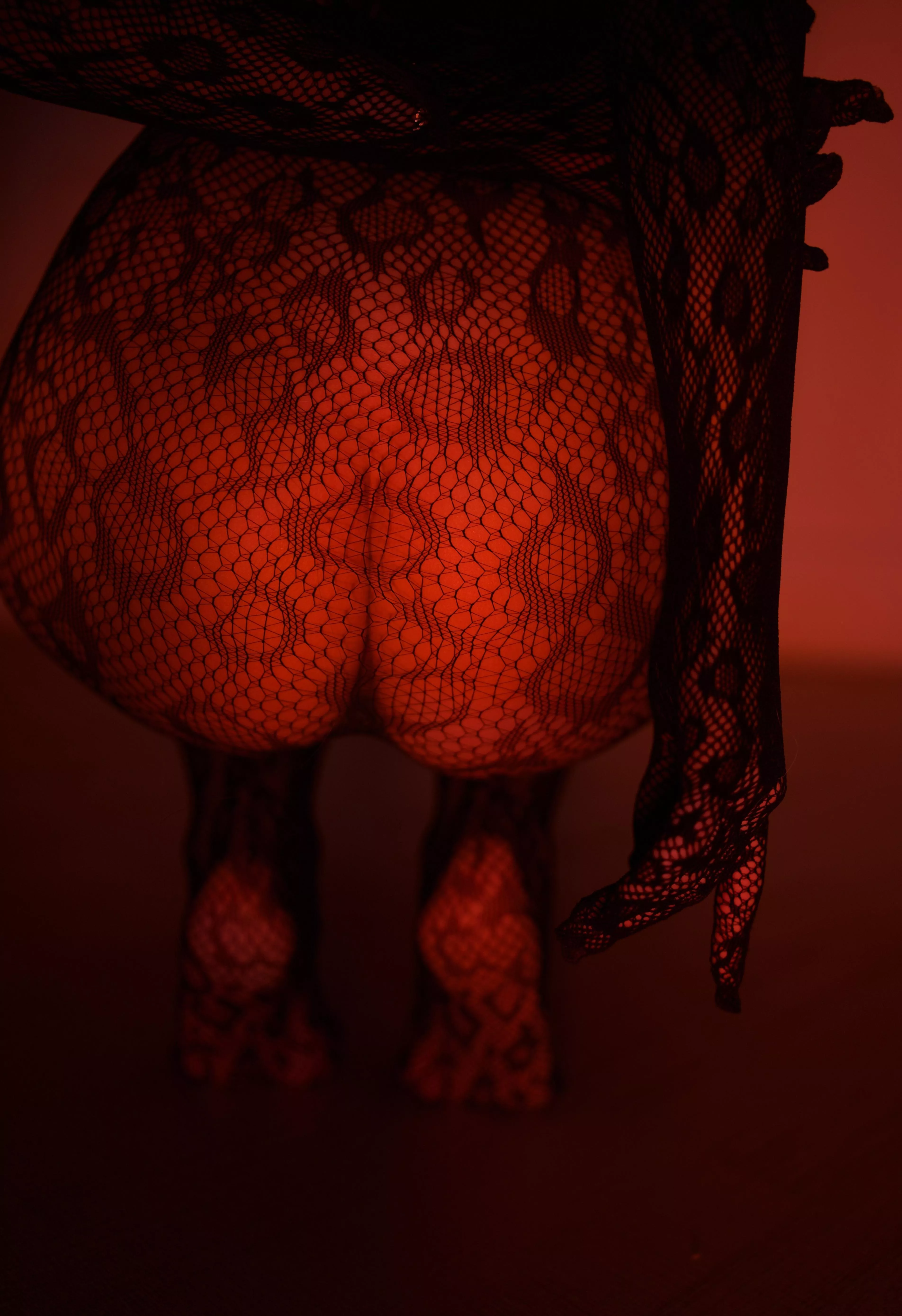 This wild cat will show you what passion is