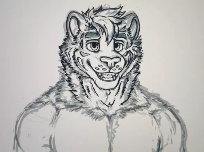 Tiger sona commission progress! Never drawn a tiger before 😭