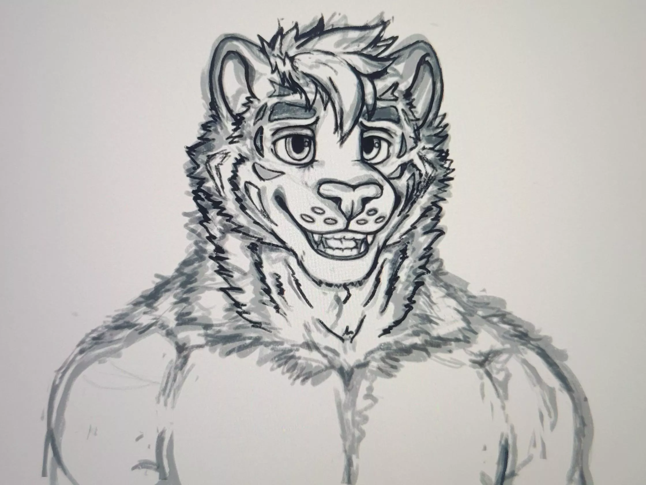 Tiger sona commission progress! Never drawn a tiger before 😭