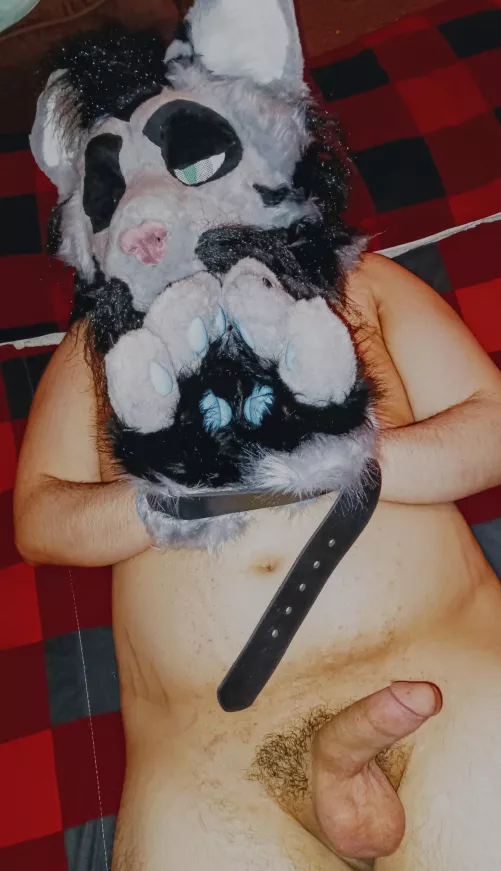 Well, you captured me... What now? 