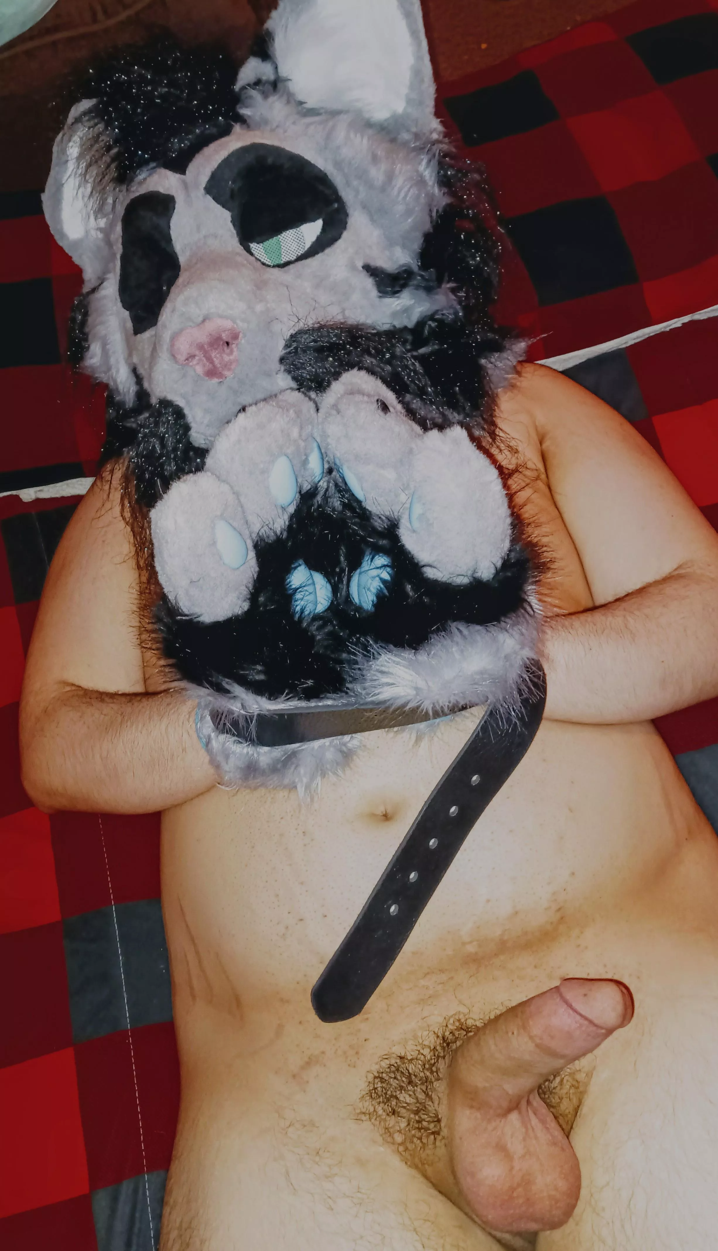 Well, you captured me... What now? 