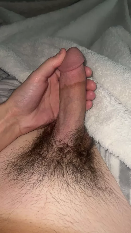 Would you sit on this hairy dick? 