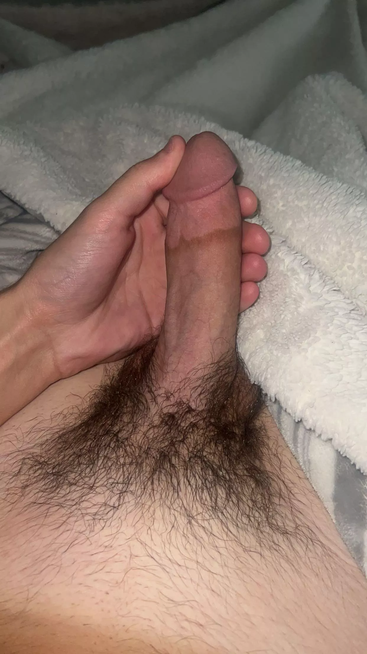 Would you sit on this hairy dick? 