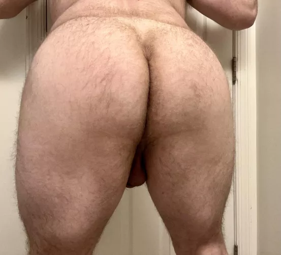 30m Straight ass ready to be bred