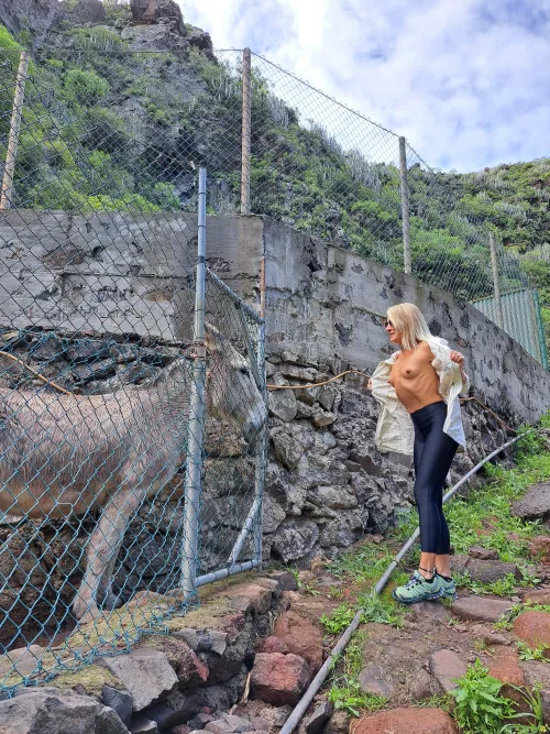 A simple way how to make friends 