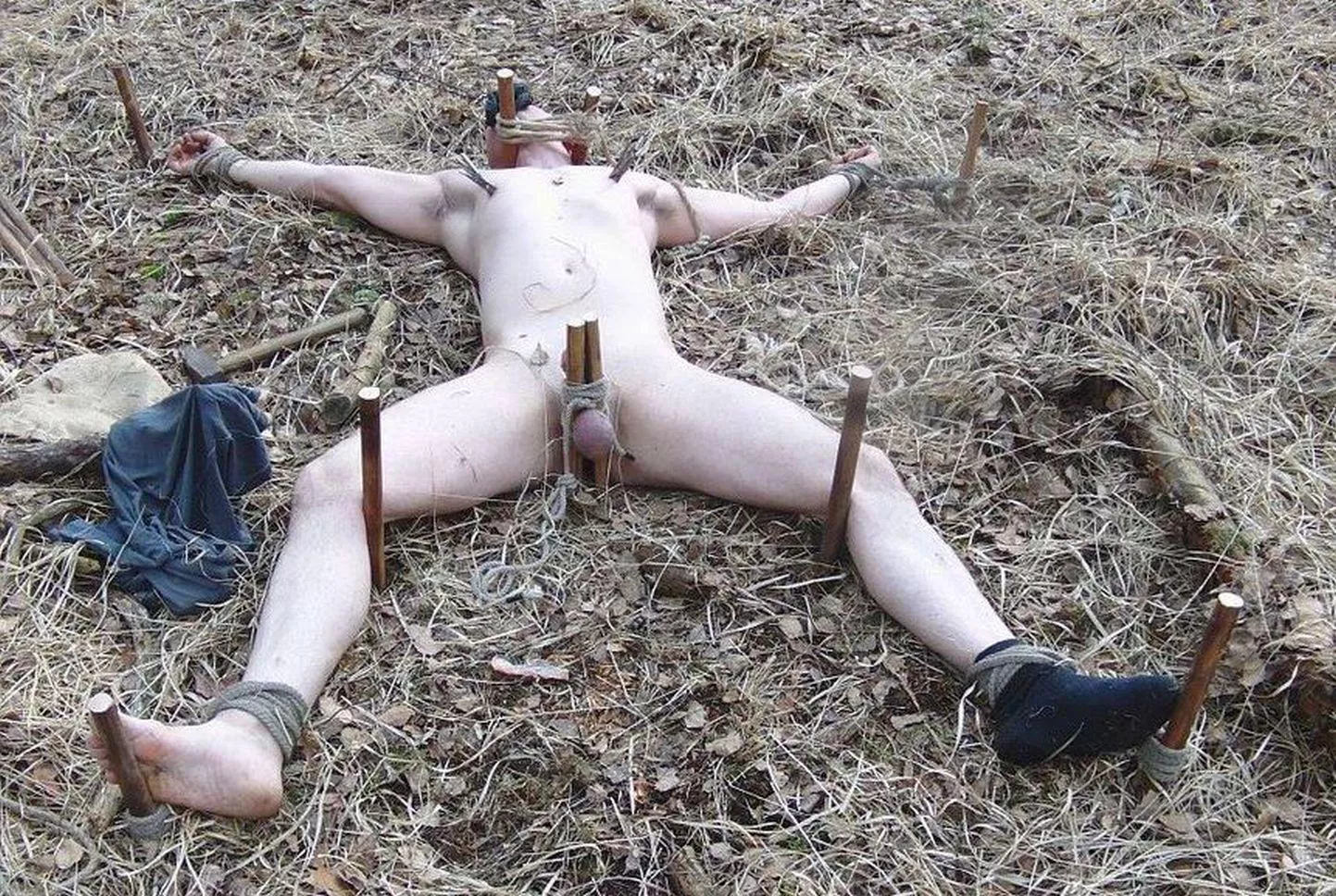 After my wife and her bull staked me to the ground in the field behind our house, I heard her tell him that now insects will do the rest of the work punishing me.