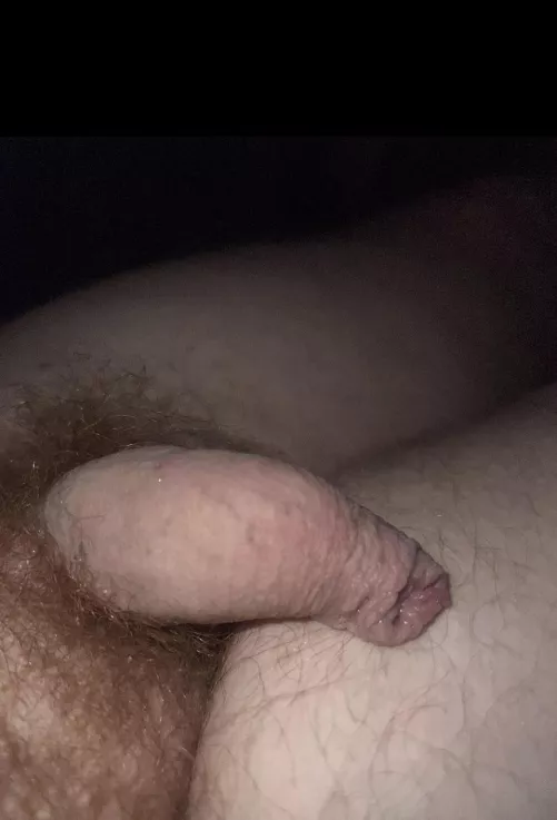 Anyone like my foreskin?