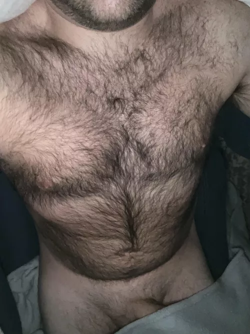Chonky hairy dad [39]