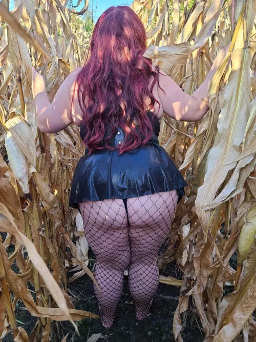 Do you like what you see?