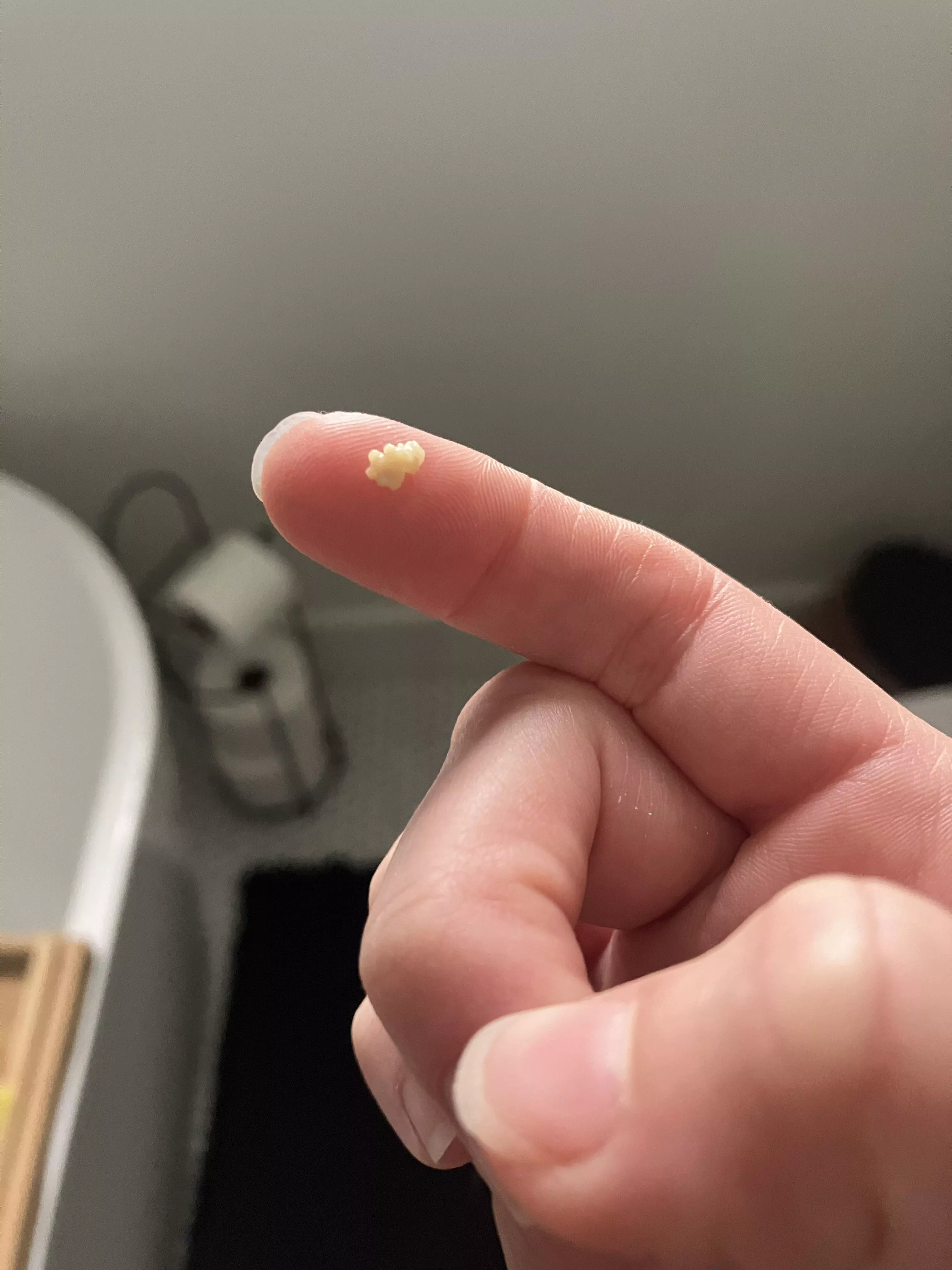 Found this thing hiding 😭 🤢 