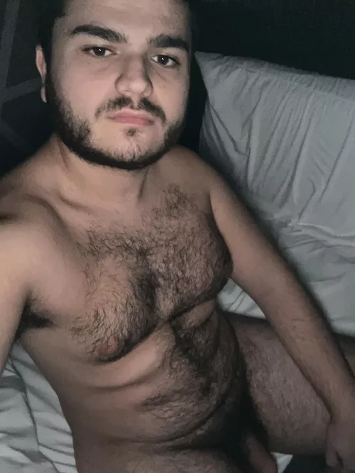 hairy cub 