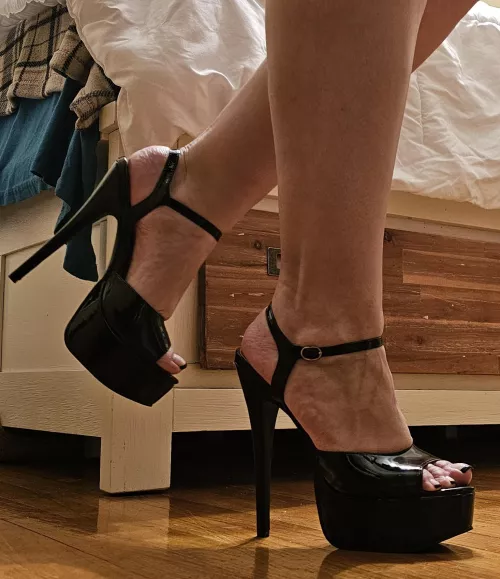 Happy Hump Day ✨️