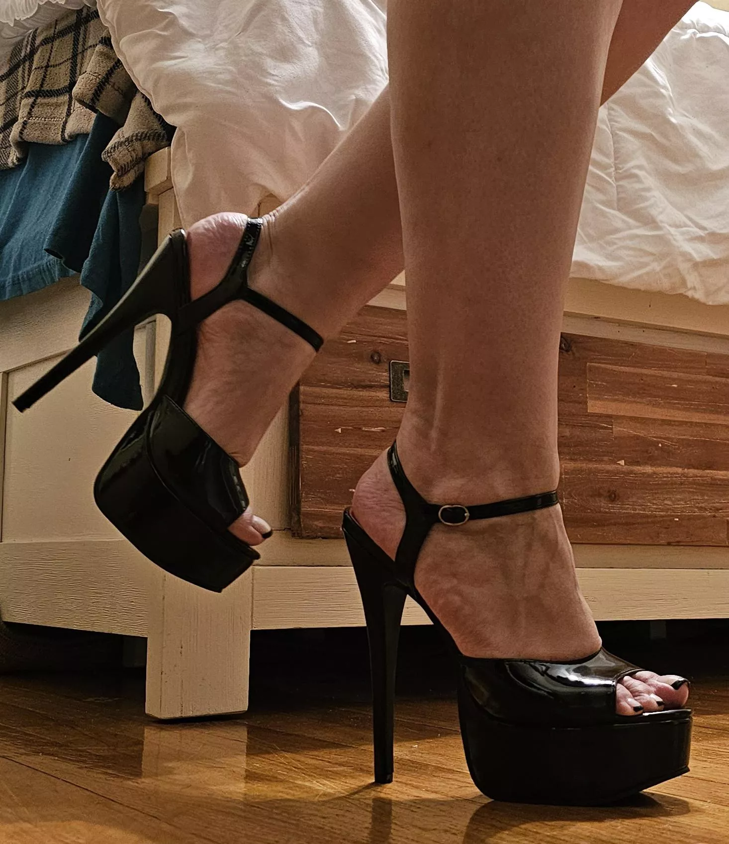 Happy Hump Day ✨️