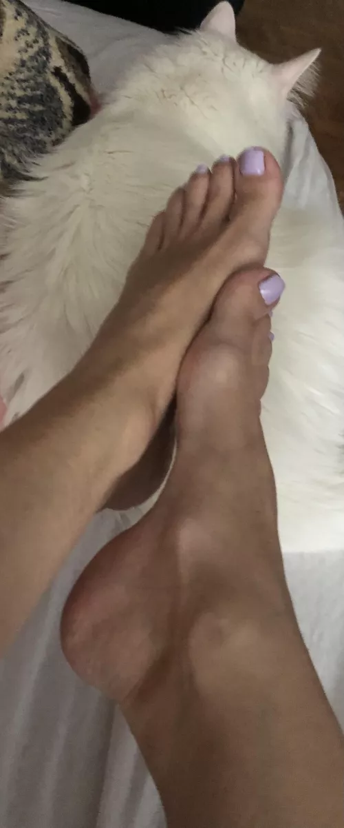 It's the middle of the week..will you last until the weekend?