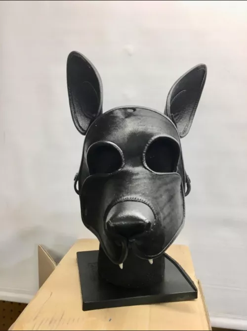 Latest purchase on its way